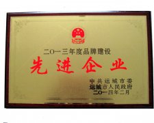 先進(jìn)企業(yè)